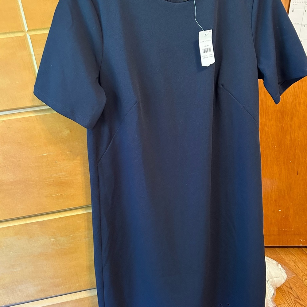 NWT Ann Taylor Navy Blue Short Sleeve Eyelet Crew Neck Shift Dress Size 6